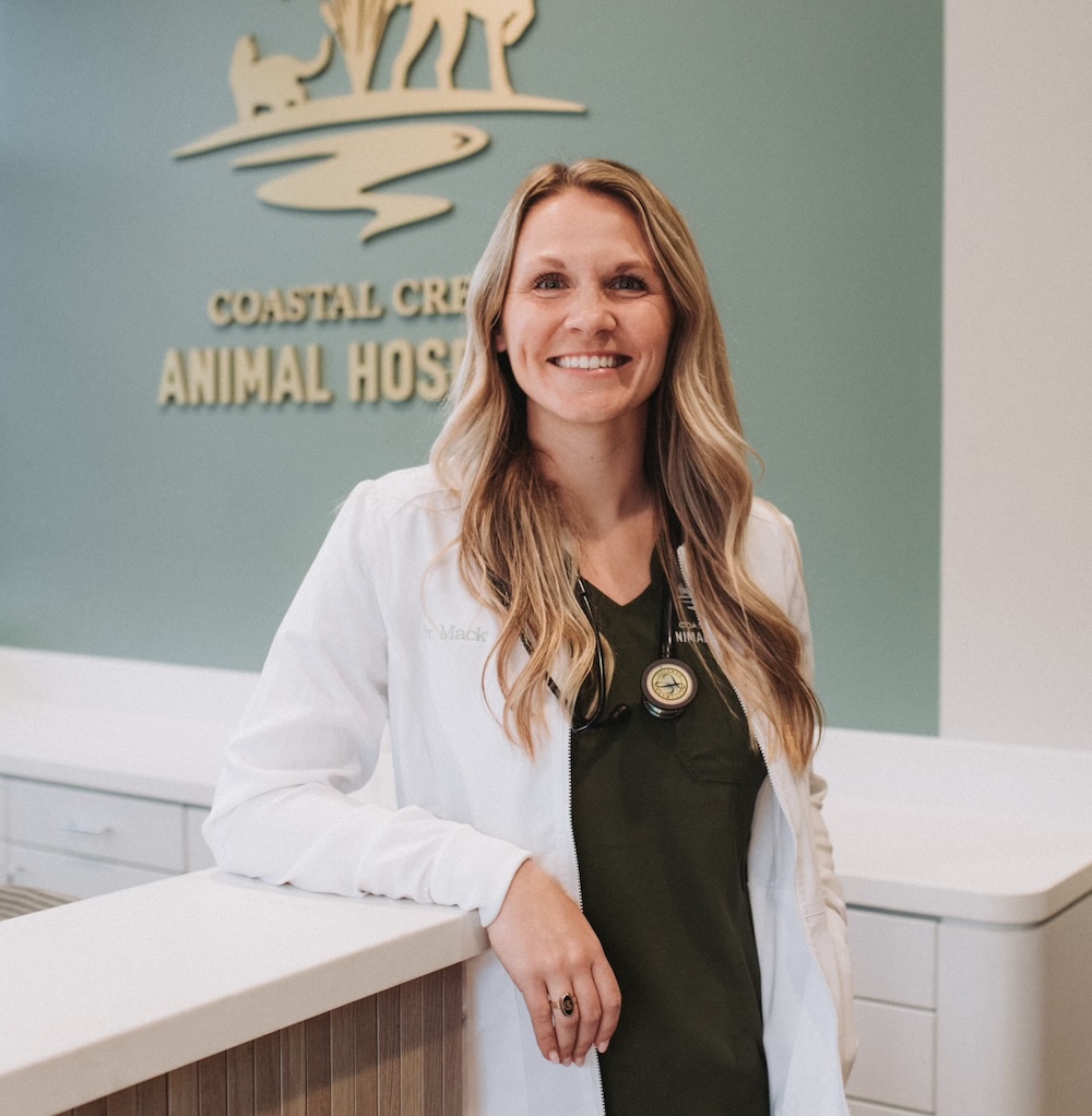 Veterinarian